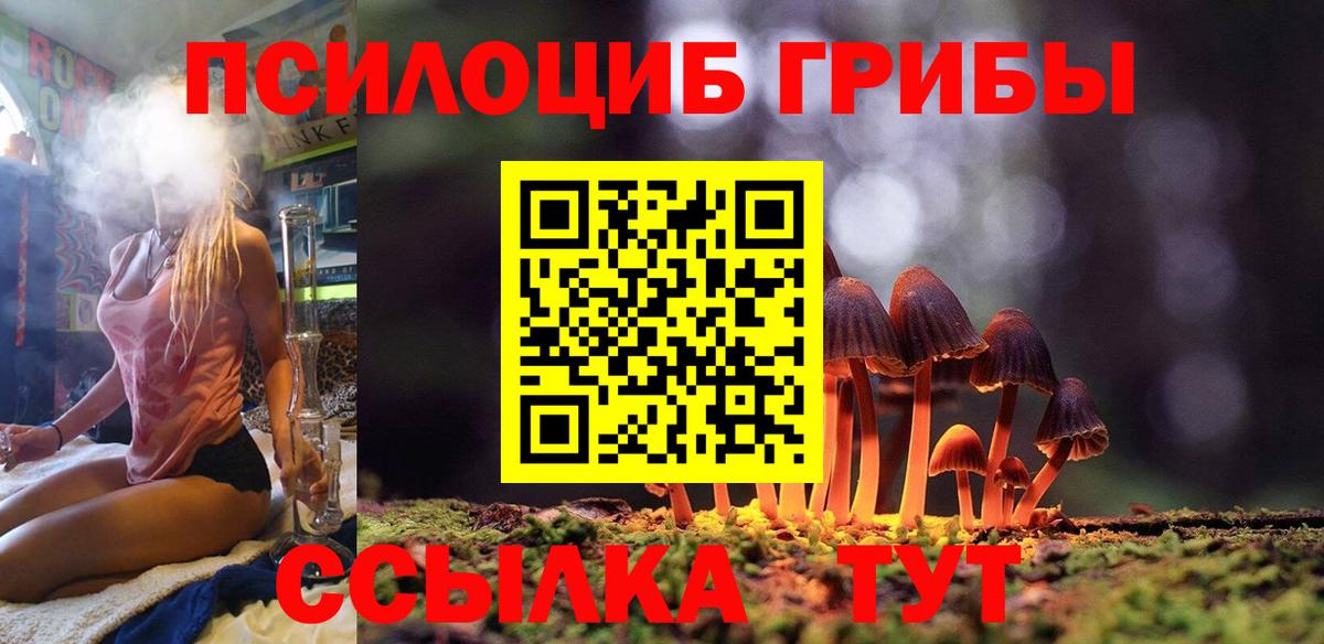 Галлюциногенные грибы Cubensis  Галлюциногенные грибы прущие грибы  Сибай  Вход с VPN 